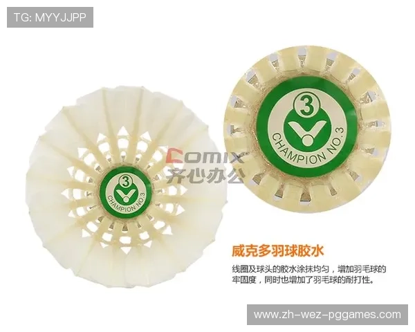 羽毛球胜利球分几